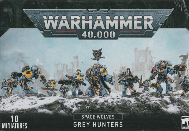 W40K: Grey Hunters