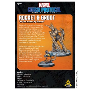 MARVEL CRISIS: Rocket and Groot - EN