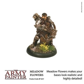 ARMY PAINTER: XP Meadow Flowers